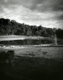 Cheap Film Photography Store 22 Cheap Film Photography Store -Cheap Film Photography Store 120 Debonair 2 1