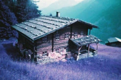 35mm Film Camera - Lomo Simple Purple (with Film) -Cheap Film Photography Store 1607094 vie matthias fiegl suc pc17