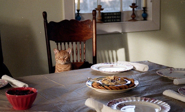 Canon® 35mm Film Camera - Canon T50 SLR Kit (Vintage) 4 Canon® 35mm Film Camera - Canon T50 SLR Kit (Vintage) - Image 4