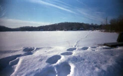 35mm Film Camera - RETO Ultra Wide & Slim Camera (Charcoal) 17 35mm Film Camera - RETO Ultra Wide & Slim Camera (Charcoal) -Cheap Film Photography Store 35mm WideSlimCamera 6 9b5f6eb9 4d39 48cf 9105 b4b4993c23c5