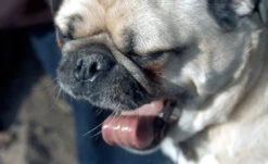 Canon® 35mm Film Camera - Canon FTb / 50mm F1.4 (Vintage) 9 Canon® 35mm Film Camera - Canon FTb / 50mm F1.4 (Vintage) -Cheap Film Photography Store CanonFTb Images 4