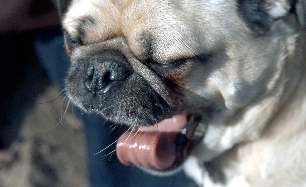 Canon® 35mm Film Camera - Canon FTb / 50mm F1.4 (Vintage) 5 Canon® 35mm Film Camera - Canon FTb / 50mm F1.4 (Vintage) - Image 5