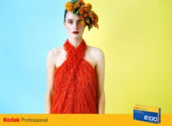 4x5 Sheet Film - Kodak Ektachrome E100 (10 Sheet Box) -Cheap Film Photography Store EktachromeE100 SandraCoanEducation 1 770xWeb