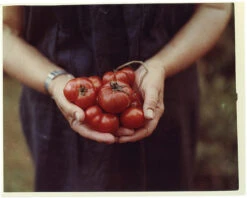 4x5 Sheet Film - Kodak Portra 160 (10 Sheets) -Cheap Film Photography Store KodakPortra160 4x5 4