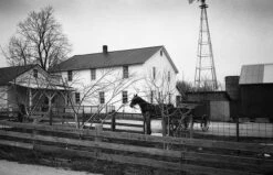 Darkroom Supplies - FPP Super Monobath BW Developer (1 Liter) -Cheap Film Photography Store Leslie Plus X 5231 2