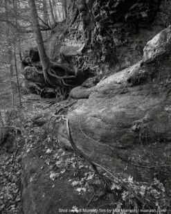 8x10 Sheet Film - FPP Mummy 400 BW Negative Film (25 Sheets) -Cheap Film Photography Store MatMarrash Mummy400 8x10 5 1200x dfebd03b 7860 47e3 ac51 36a24ee89f08