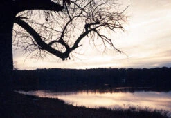 Cheap Film Photography Store 20 Cheap Film Photography Store -Cheap Film Photography Store OlympusStylusEpic Raso 1