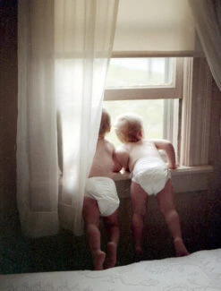 35mm Film Camera - Olympus Stylus Original (Vintage) -Cheap Film Photography Store OlympusStylusOrig Gold200 Leslie3