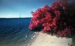 35mm Film Camera - RETO Ultra Wide & Slim Camera + Film COMBO (Pastel Pink) -Cheap Film Photography Store UWS Raso 5 22a5d8f4 4345 4428 86ac 677d903680ce