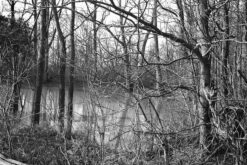 Darkroom Supplies - FPP 110 BW Film Developer (Kodak HC-110 Equivalent - 8 Oz) -Cheap Film Photography Store fpp110 Leslie 1