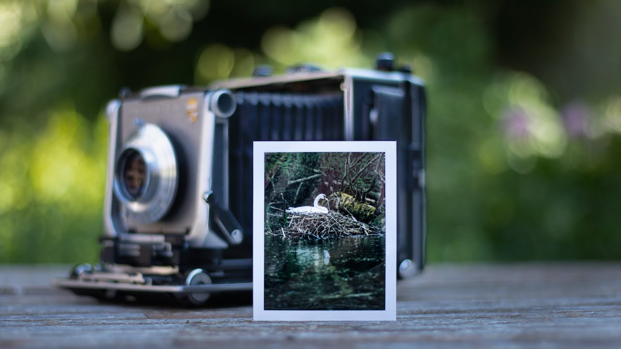 Cheap Film Photography Store -Cheap Film Photography Store C385D2A0 D7E9 4973 80C9 DB1016FCB736